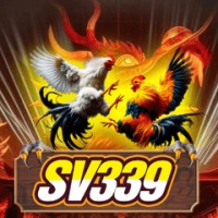 dagasv339ccpg