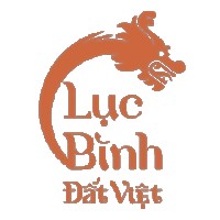 lucbinhdatviet