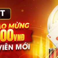 hdbettuscom