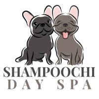 Shampoochidayspa