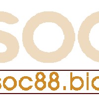 soc88bidpm