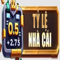 dangkytylenhacai1