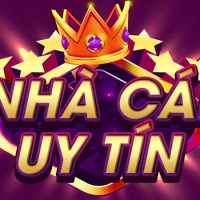nhacaiuytinar