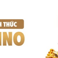 5mbcasino