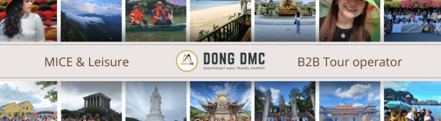 dongdmcvietnam