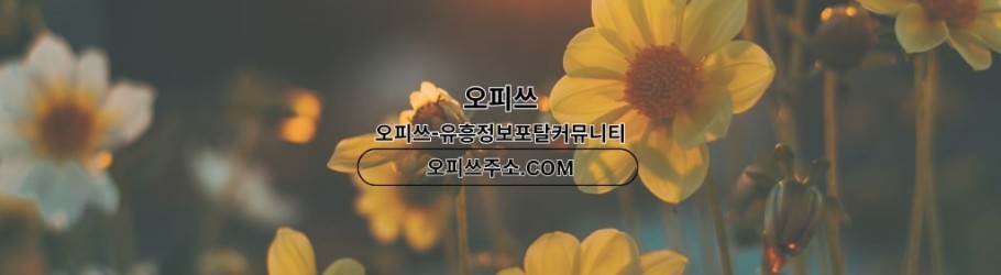 대구오피 오피쓰주소ᴄᴏᴍ 대구ᴏᴘ