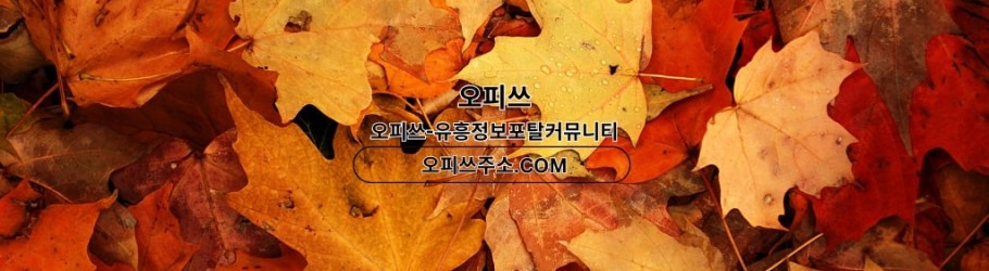 부평오피 출장마사지안내ᴄᴏᴍ