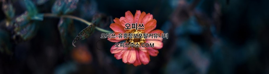 apgujeonggeonma
