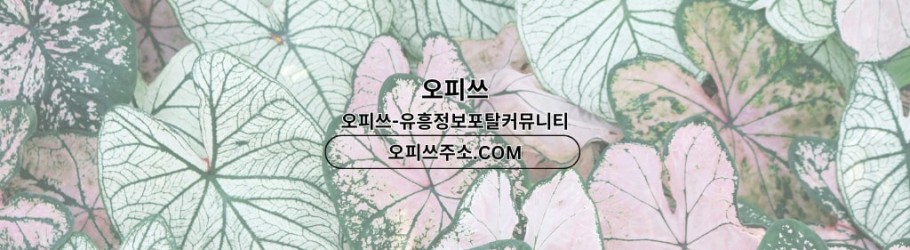 cheongjugeonma