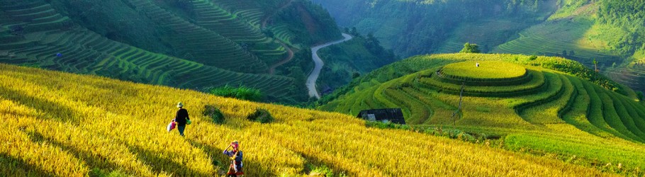 indochinatour