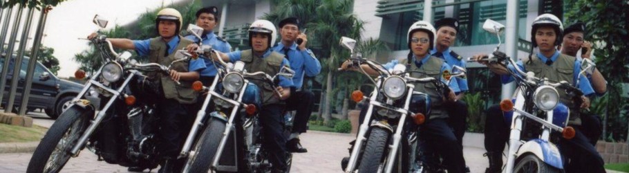 datvietbaove