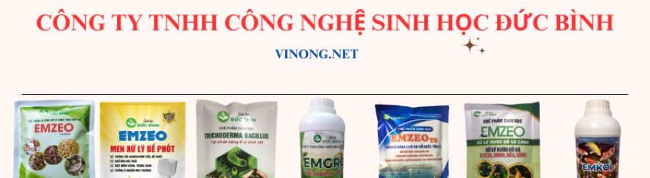 vinongducbinh