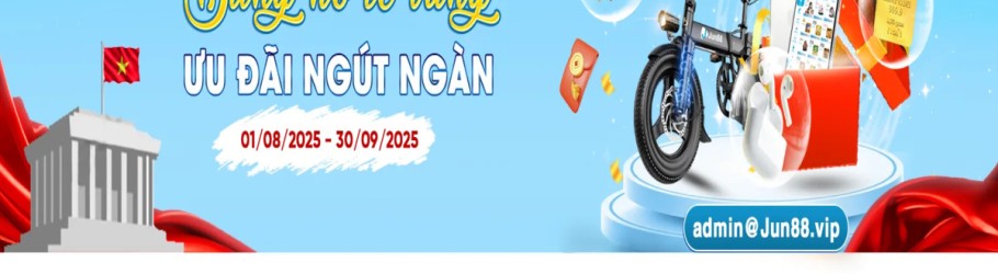 vnjun88net