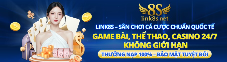 link8snet