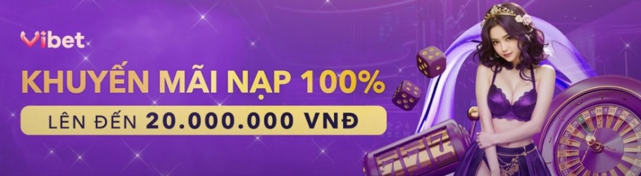 vibetjpnet