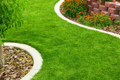 Professional Garden Edging Services: How to Choose the Right Contractor