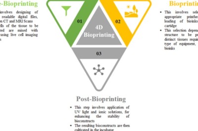 AN OVERVIEW OF 4D BIOPRINTING