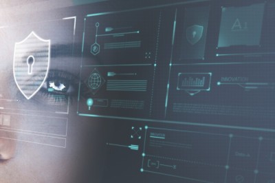 The Role of Data Privacy in Developing Trustworthy AI