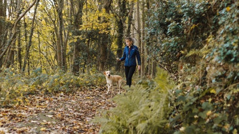 How Walking Can Make a Difference for Your Mood and Health