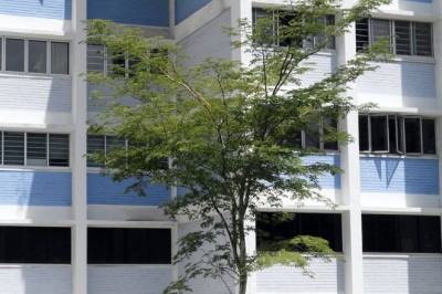 8 Advantages of Purpose-Built Rental Apartments