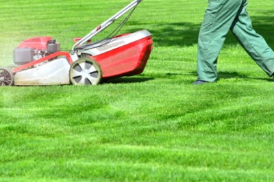 Lawn Improvement for Beginners: A Comprehensive Guide to Lawn Renovation