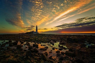 How to Get Around Montague Island