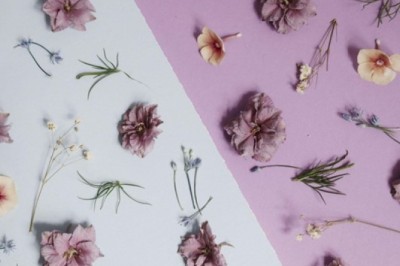 The Science of Scent: How Smells Affect Mood, Memory, and Emotions