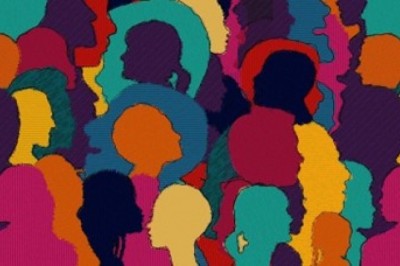 The Impact of Constituency Diversity