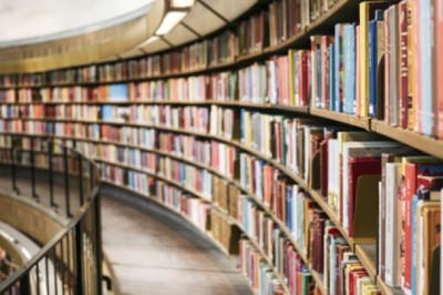 The Role of Service and Community Engagement in Holistic Education