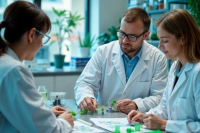 Why Choosing the Right Pharmaceutical SEO Company Matters