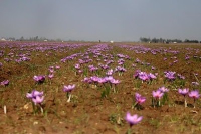 Kashmir Tour Packages: Beyond the Usual Travel Story