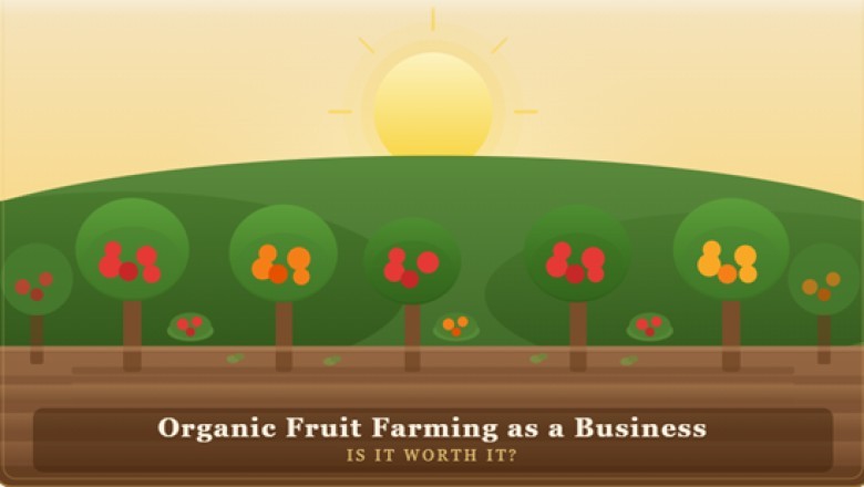 Organic Fruit Farming as a Business: Is It Worth It?