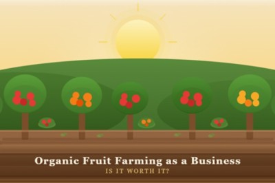 Organic Fruit Farming as a Business: Is It Worth It?