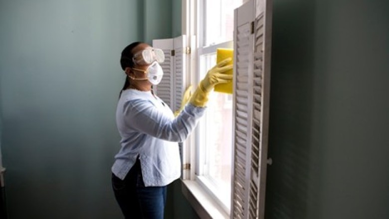 7 Tips to Keep Your Windows Sparkling Year-Round