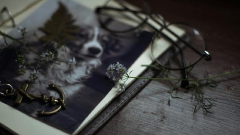 Memory Anchors: How Physical Items Help Regulate Emotion During Life Transitions