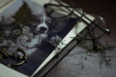 Memory Anchors: How Physical Items Help Regulate Emotion During Life Transitions