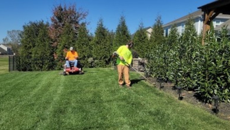 5 Costly Lawn Maintenance Mistakes Homeowners Often Overlook