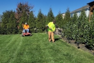 5 Costly Lawn Maintenance Mistakes Homeowners Often Overlook