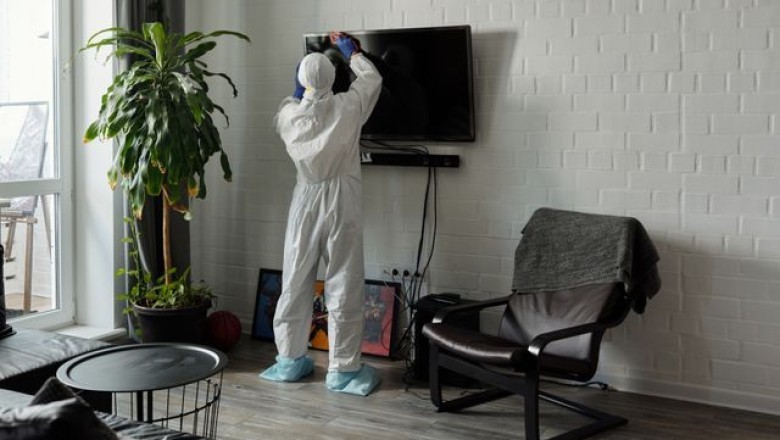 Know How to Spot Mold and How to Get Rid of It