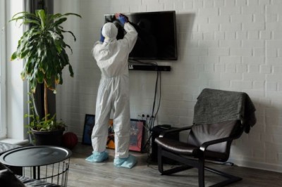 Know How to Spot Mold and How to Get Rid of It